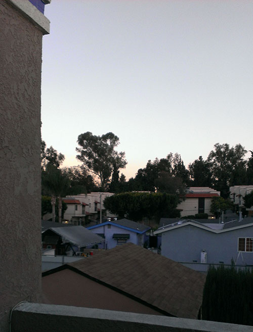 reference photo looking out my studio window.