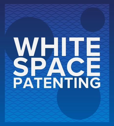 White Space Patenting graphic for webpage